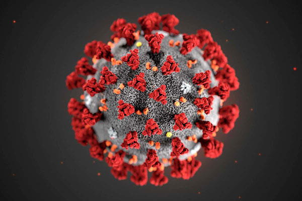 Covid-19 virus